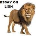 short essay on lion in 100 words