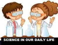 science in our daily life essay 250 words