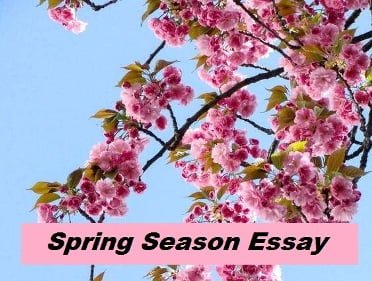 essay on charms of spring season