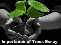 150 words importance of trees essay